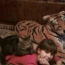  , , 50  -  24  2012   ,,