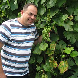 ���� Roman, ������ ��������, 54 ���� - ��������� 8 ���� 2013