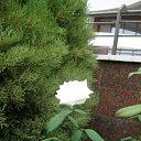 ���� ����� ������, ��������, 48 ��� - ��������� 1 �������� 2012 � ������ �������