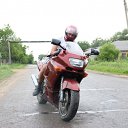���� �������, ���������, 38 ��� - ��������� 14 ������� 2012