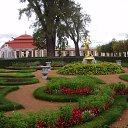  She's Like The Wind,  -  10  2010   Ի