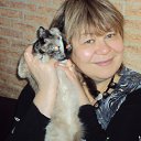 ���� ����, ������ - ��������� 1 ���� 2013 � ������ ����� ��� ������������