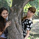  , , 29  -  31  2013   )) 2013))