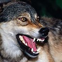 ���� �����, ������ - ��������� 14 ���� 2012 � ������ �������