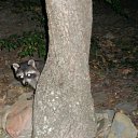 ���� �����, �����, 30 ��� - ��������� 29 ������� 2011 � ������ ����� � ����