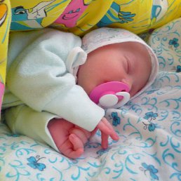 ������� 1 ������