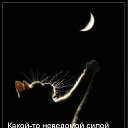 ���� �������, �������, 59 ��� - ��������� 18 ��� 2011 � ������ �������