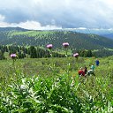 ���� ����� ����������, ����������, 105 ��� - ��������� 25 ������ 2013 � ������ ���� ����������