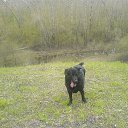 ���� ���, �����, 61 ��� - ��������� 20 ���� 2013 � ������ ���� ����������