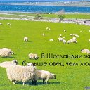 ���� �������� D* Tuta, ������ - ��������� 19 ������� 2009 � ������ ������� -���� =))))))))�
