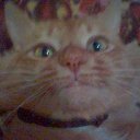  !!!!!!!!!!, , 60  -  10  2011   