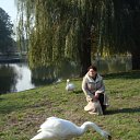 ���� �����, ���������, 43 ���� - ��������� 4 ������ 2010 � ������ ���� ����������