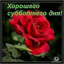 ���� ����/ �������� � ����� ��������/, ����, 64 ���� - ��������� 29 ���� 2011 � ������ ���� ������.�