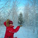 ���� �����, �������, 44 ���� - ��������� 28 ������� 2009 � ������ ���� ����������