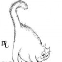 ���� �����-��, ����, 45 ��� - ��������� 24 ������ 2010 � ������ �ZODIAK � �����ջ