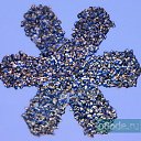 ���� �������, ������, 41 ��� - ��������� 9 ������� 2009 � ������ ���������