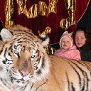 ���� ���, �����������, 85 ��� - ��������� 20 ���� 2012 � ������ �������