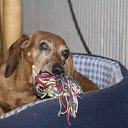 ���� �����, ������, 60 ��� - ��������� 15 ������� 2010 � ������ ��������