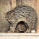 ���� �����, ������, 39 ��� - ��������� 23 ������� 2010 � ������ ���� ����������