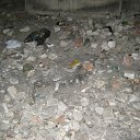  Angel, , 39  -  12  2011    ...  \   