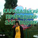  ,  -  17  2011    