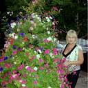 ���� ������, ������ - ��������� 30 ����� 2012 � ������ ���� ����������