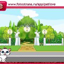 ���� ������, ������ - ��������� 9 ������ 2011