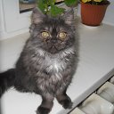 ������� �� ������� ���