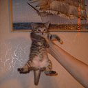 ���� �����, ������������, 50 ��� - ��������� 5 ������ 2010 � ������ �����