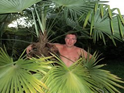 ���� �������, ��������, 49 ��� - ��������� 22 ���� 2013