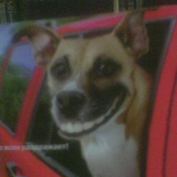 ���� ������, ������, 52 ���� - ��������� 22 ���� 2012