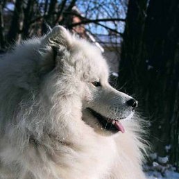 ���� ������, �����������, 31 ��� - ��������� 12 ������ 2012