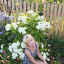 ���� �������, �����, 49 ��� - ��������� 12 ���� 2012 � ������ ���� ����������