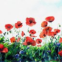 ���� K��k�, ������ ��������, 34 ���� - ��������� 10 ������� 2012 � ������ �������