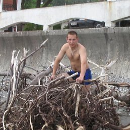 �����, �����, 41 ���