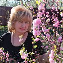 ���� �����, ��������, 61 ��� - ��������� 27 ��� 2013 � ������ ���� ����������