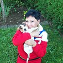  Milena,  -  15  2011    