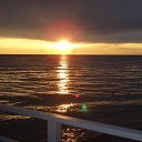 ���� ����� ��������, ����, 55 ��� - ��������� 22 ��� 2013 � ������ ���� ���� ������