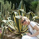 ���� ��������, �����������, 54 ���� - ��������� 27 ��� 2012