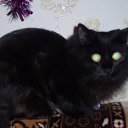 ���� ������, ����������, 25 ��� - ��������� 1 ���� 2011 � ������ ���� ����� ������)))�