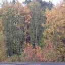  ,  -  22  2012   * ..*