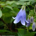 ���� ��������, ����� - ��������� 22 ������� 2009 � ������ ���� �������� ��������