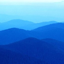 ���� ���������, �����������, 40 ��� - ��������� 31 ������ 2013