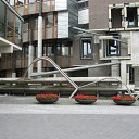 ���� ���������, ����, 53 ���� - ��������� 7 ������� 2011 � ������ �����������