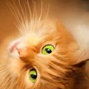 ���� �������, ������, 30 ��� - ��������� 19 ��� 2012