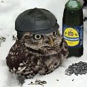 ���� O* L, ������, 51 ��� - ��������� 10 ������ 2013