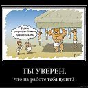 ���� ���������, ������, 36 ��� - ��������� 5 ������� 2010 � ������ �������