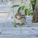 ���� �������, ����������� - ��������� 10 �������� 2011 � ������ �������