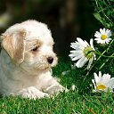 ���� ������, �������� - ��������� 13 �������� 2012 � ������ �������