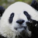 ���� �����, �������, 40 ��� - ��������� 21 ������ 2012